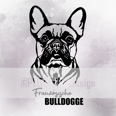 Hund Französische Bulldogge