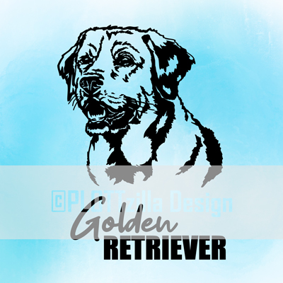 Hund Golden Retriever