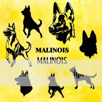 Hund Malinois