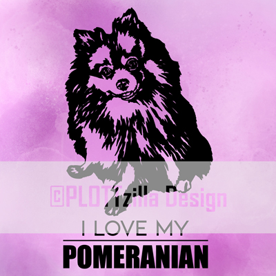 Hund Pomeranian